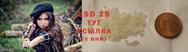 PSILOCYBIN Березники