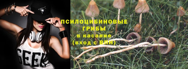 хмурый Одинцово