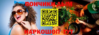 шишки Гагарин