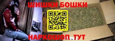 шишки Гагарин