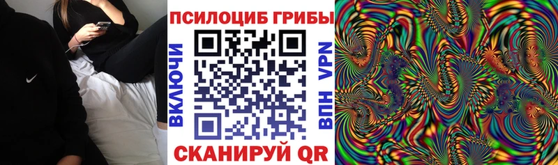 купить  цена  Красноперекопск  Галлюциногенные грибы Psilocybe 