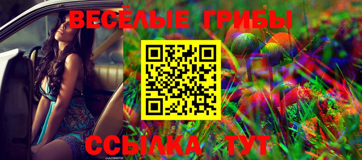 Красноперекопск  Псилоцибиновые грибы прущие грибы  где купить наркоту  Вход с VPN 
