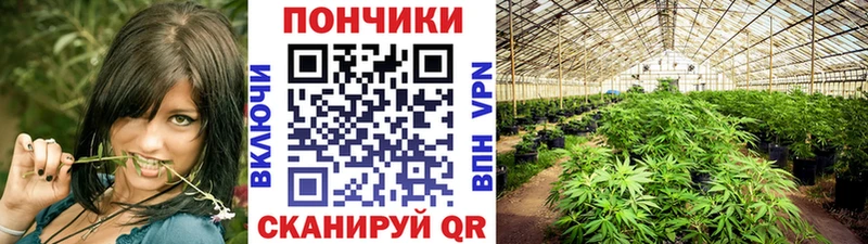 продажа наркотиков  Красноперекопск  Шишки марихуана SATIVA & INDICA 
